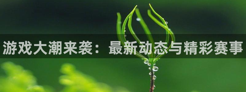 鼎点娱乐测速：游戏大潮来袭：最新动态与精彩赛事