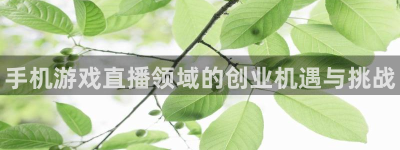 鼎点娱乐代理登陆：手机游戏直播领域的创业机遇与挑战