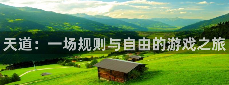 鼎点娱乐2登录：天道：一场规则与自由的游戏之旅