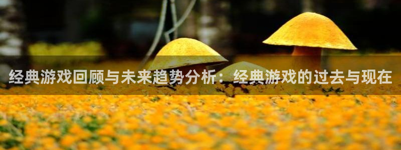 手机版鼎点娱乐客户端下载：经典游戏回顾与未来趋势分析：经典游