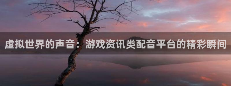 鼎点娱乐平台负责人：虚拟世界的声音：游戏资讯类配音平台的精彩